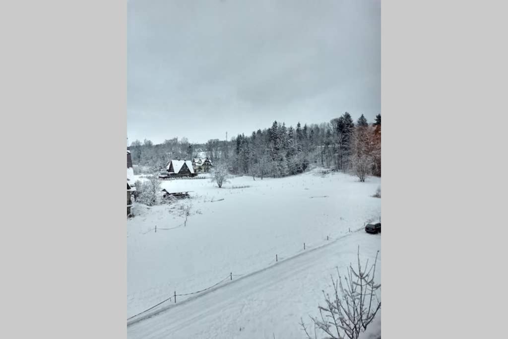 Apartament White Biały Dunajec Eksteriør billede
